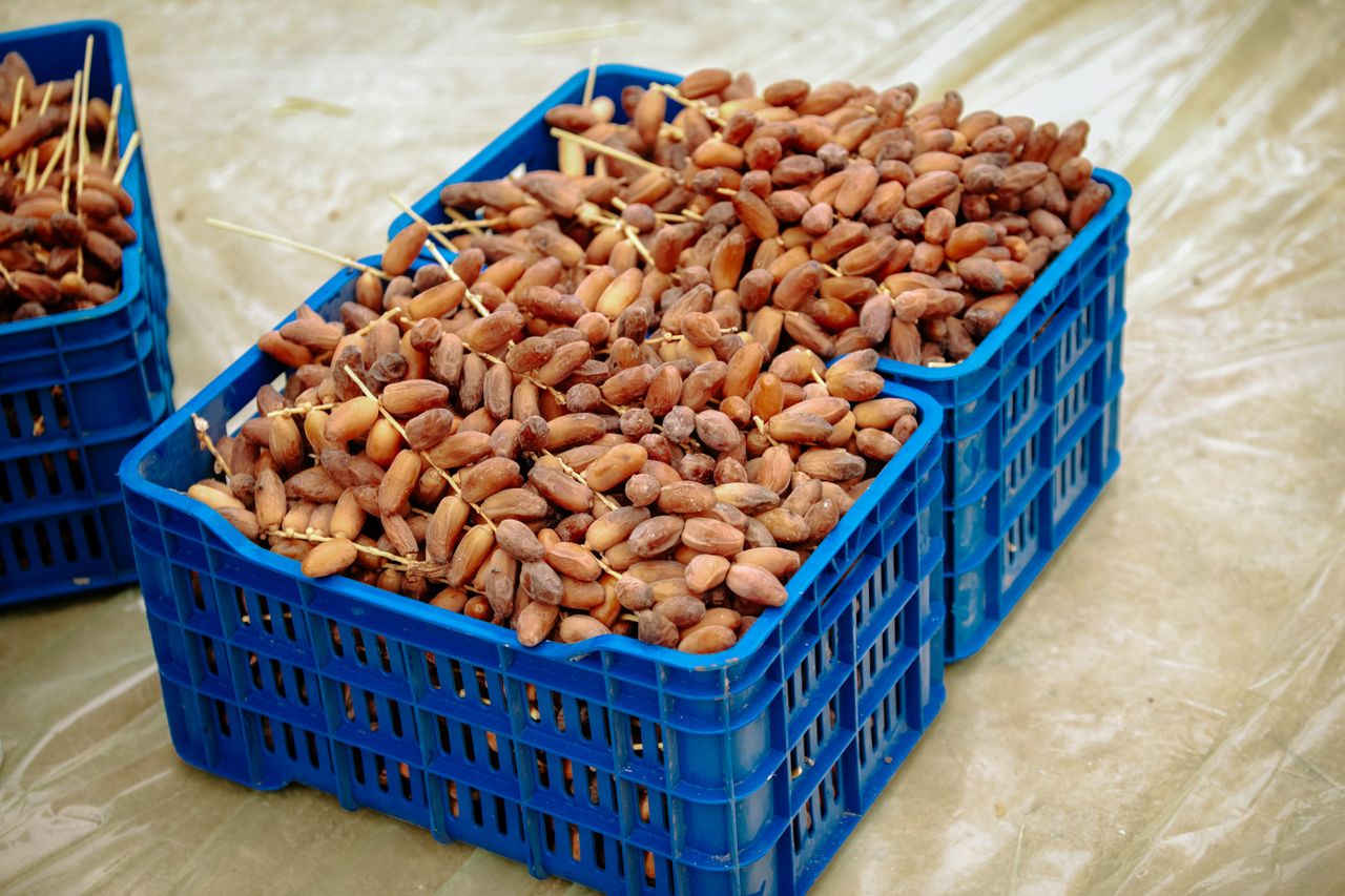 Boxes of fresh dates on display at a market in Biskra, Algeria, showcasing local produce.